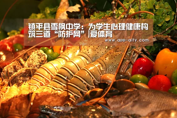 镇平县雪枫中学:为学生心理健康构筑三道“防护网”|爱体育(图2) 爱体育