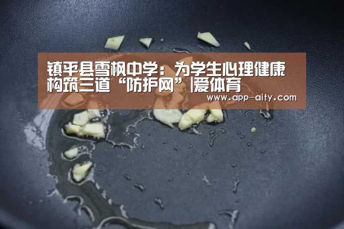 镇平县雪枫中学:为学生心理健康构筑三道“防护网”|爱体育(图4) 爱体育