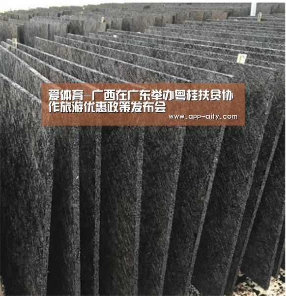 爱体育-广西在广东举办粤桂扶贫协作旅游优惠政策发布会(图2) 爱体育